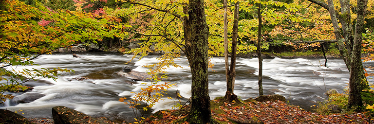 OXTONGUE RIVER 7 x 21 photograph 