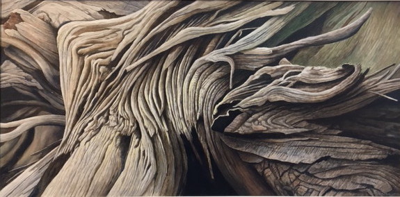 CEDAR RHYTHMS 20 X 40 oil 