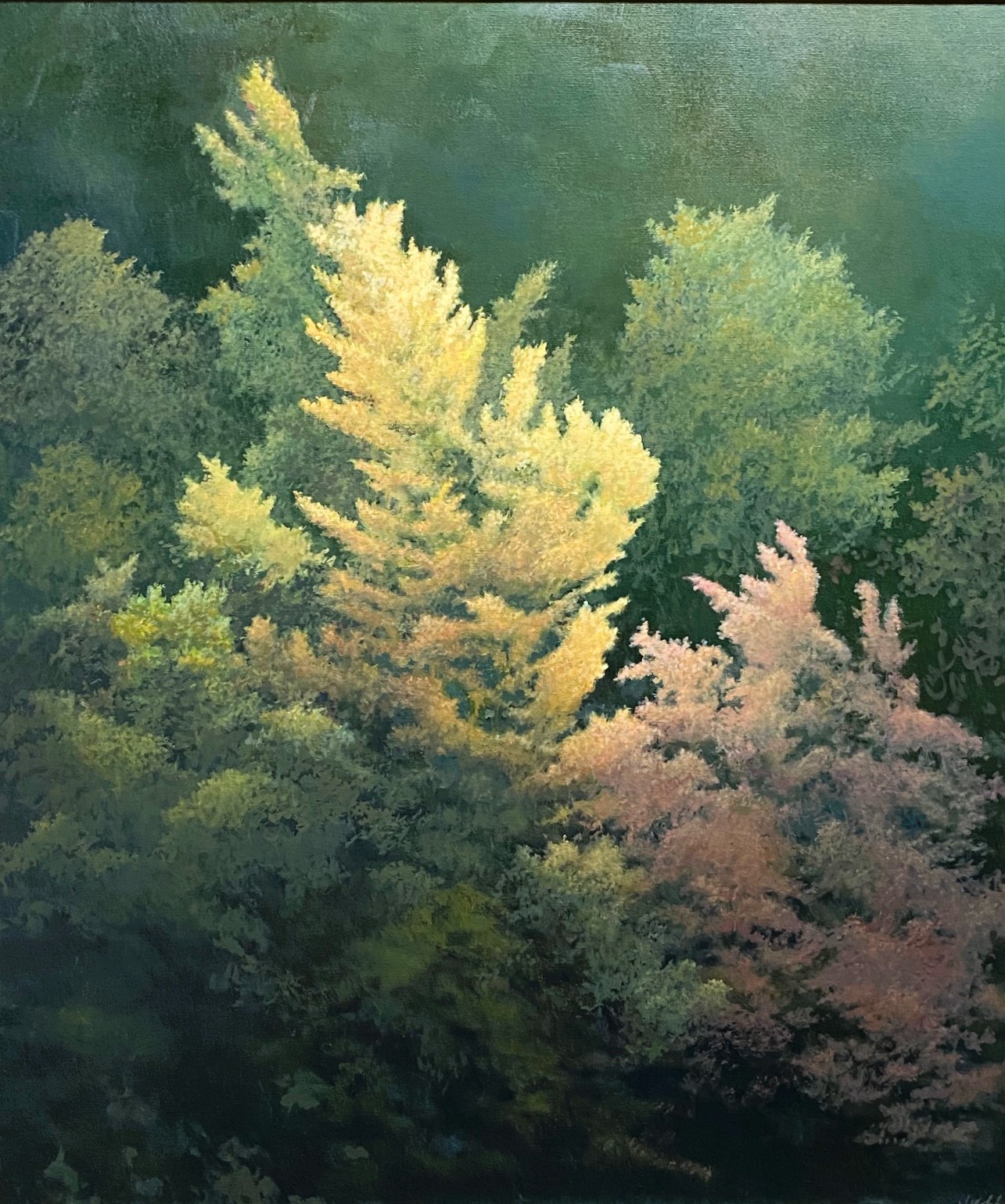GOLDEN 2 26 x 22 oil 