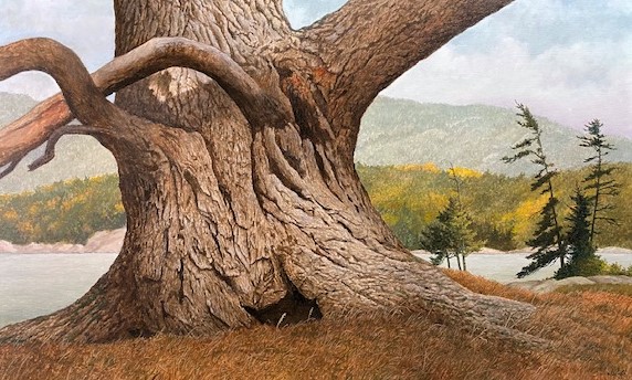 THE MIGHTY PINE  22 x 36 oil  