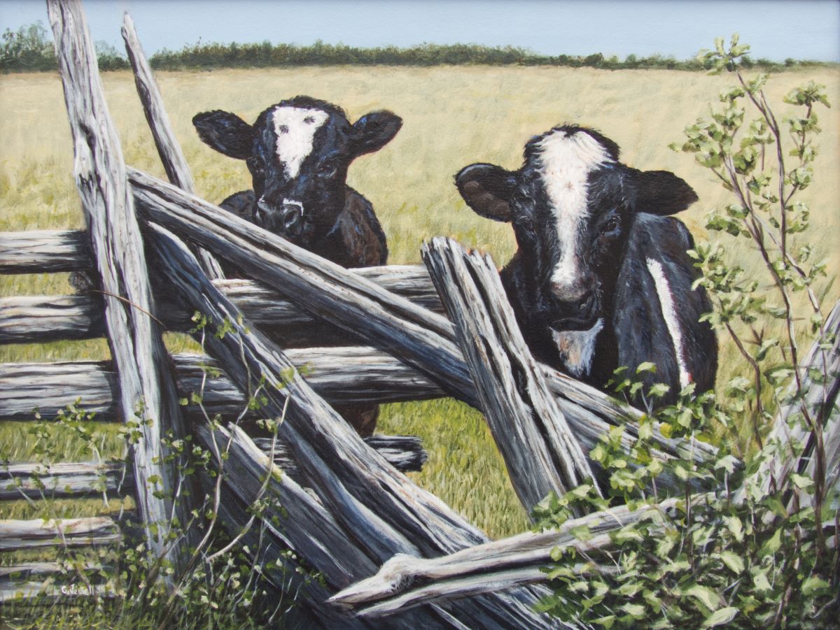 CATTLE ON McLEAN’S MOUNTAIN 18 x 24 acrylic 