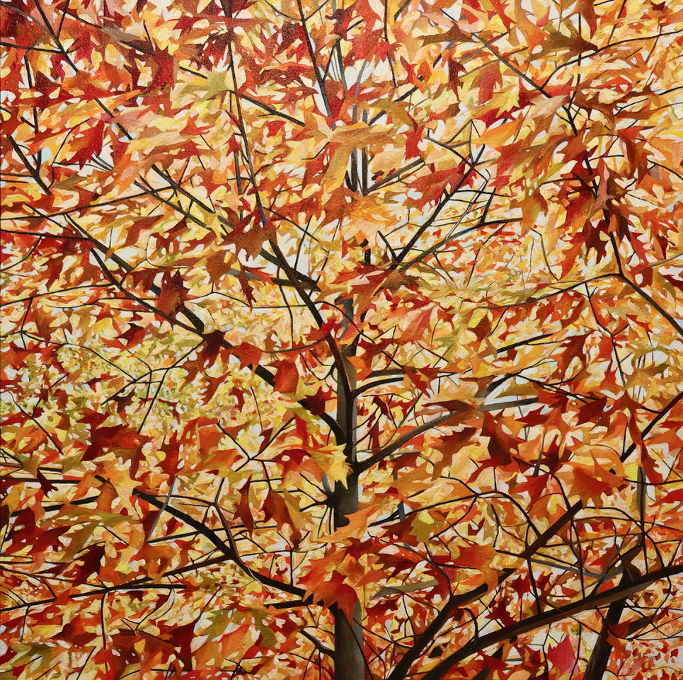 AUTUMN GOLDEN OAK 36 x 36 acrylic 