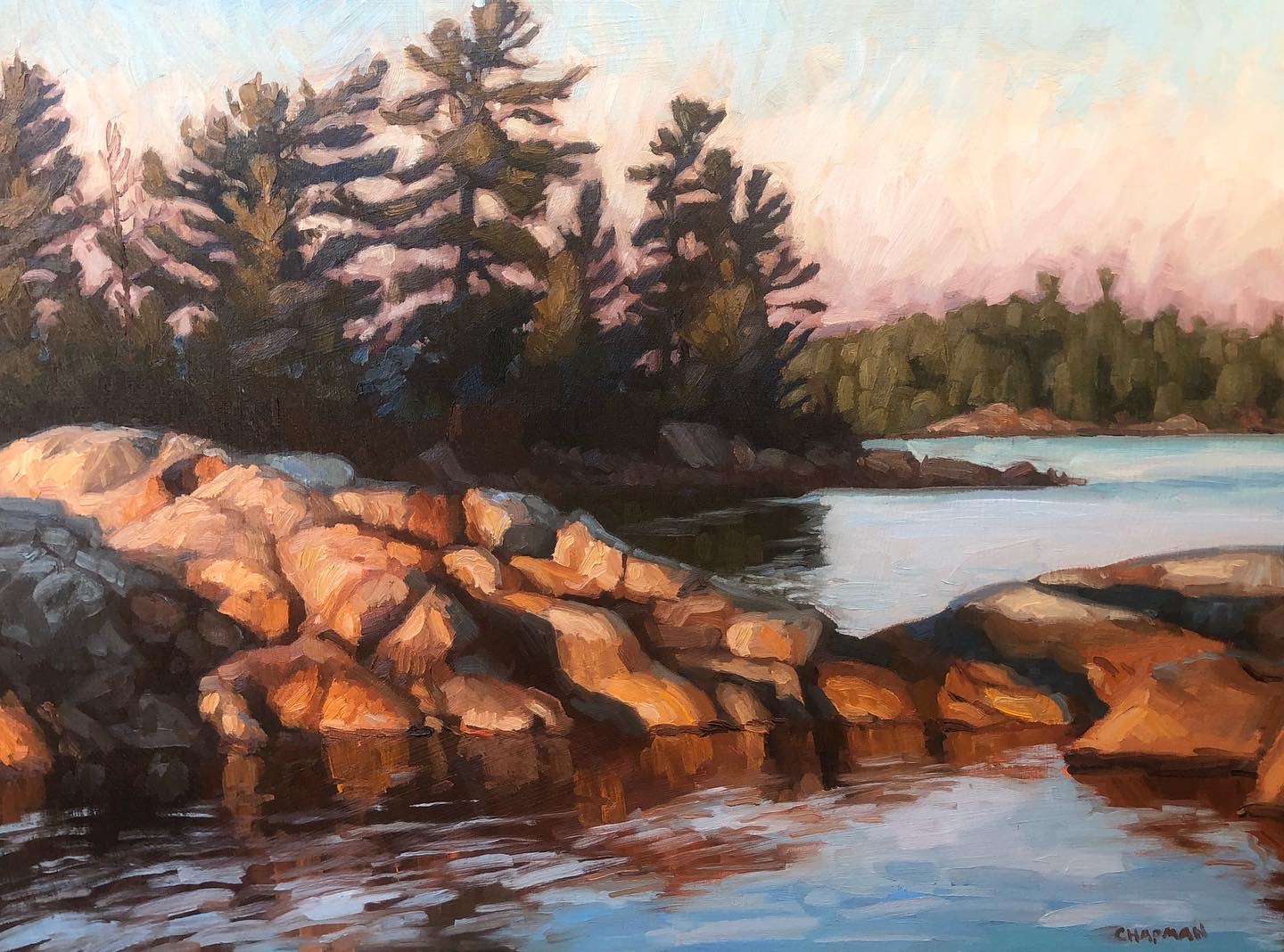 LATE LIGHT  18 x 24 oil, (framed 20x26) by Daniel Chapman 