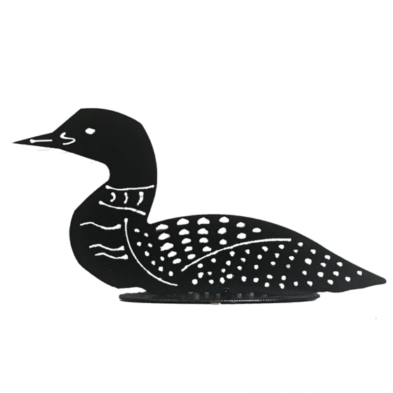 Loon  6 x 13   $68