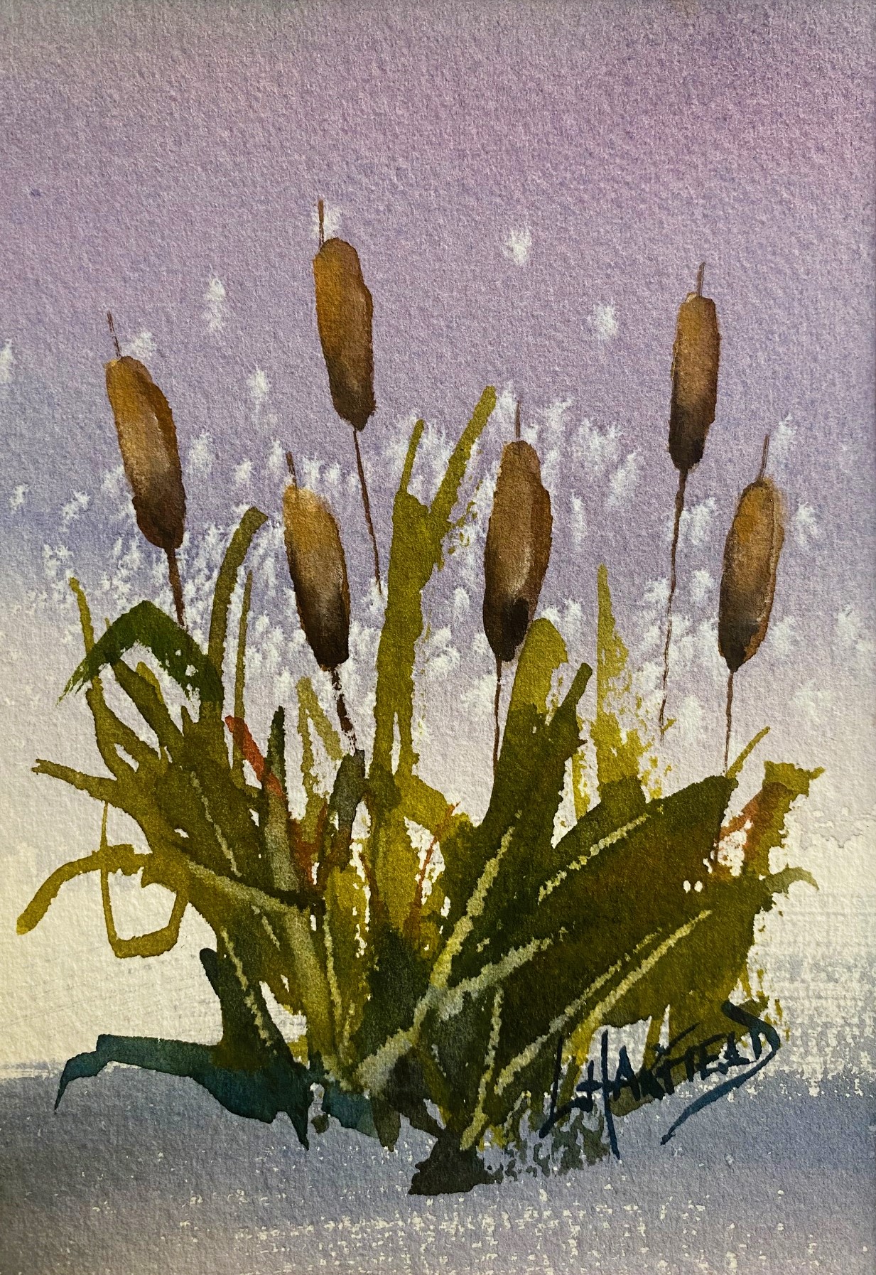 BULRUSHES IN EARLY SNOW 7 x 5 watercolour (matted 10 x 8)