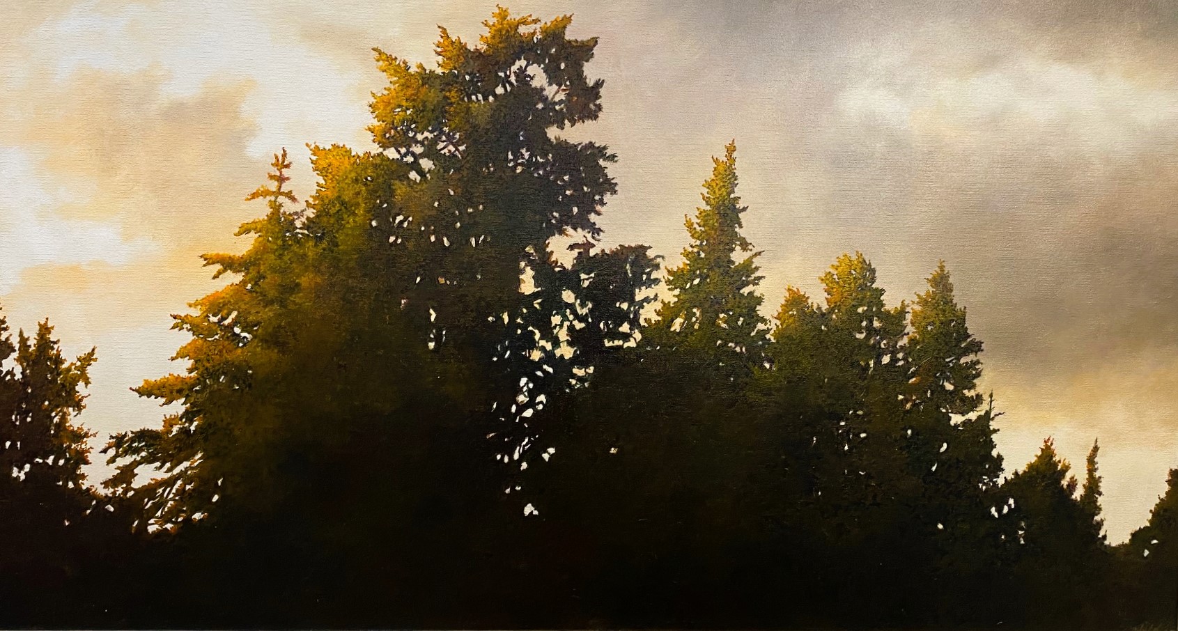 TRANQUILITY 20 x 36 oil 
