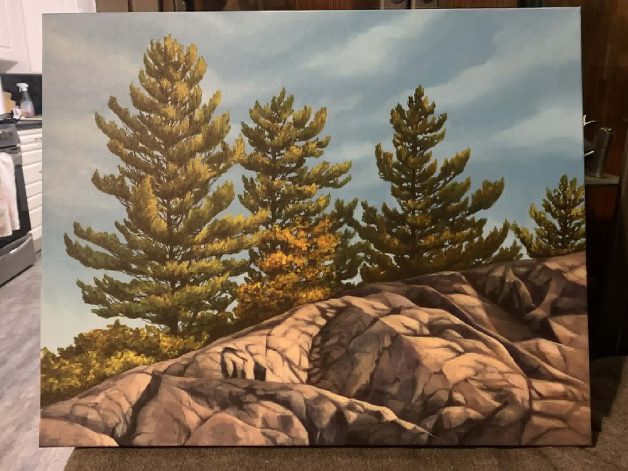 HILLSIDE 16 x 20 acrylic 