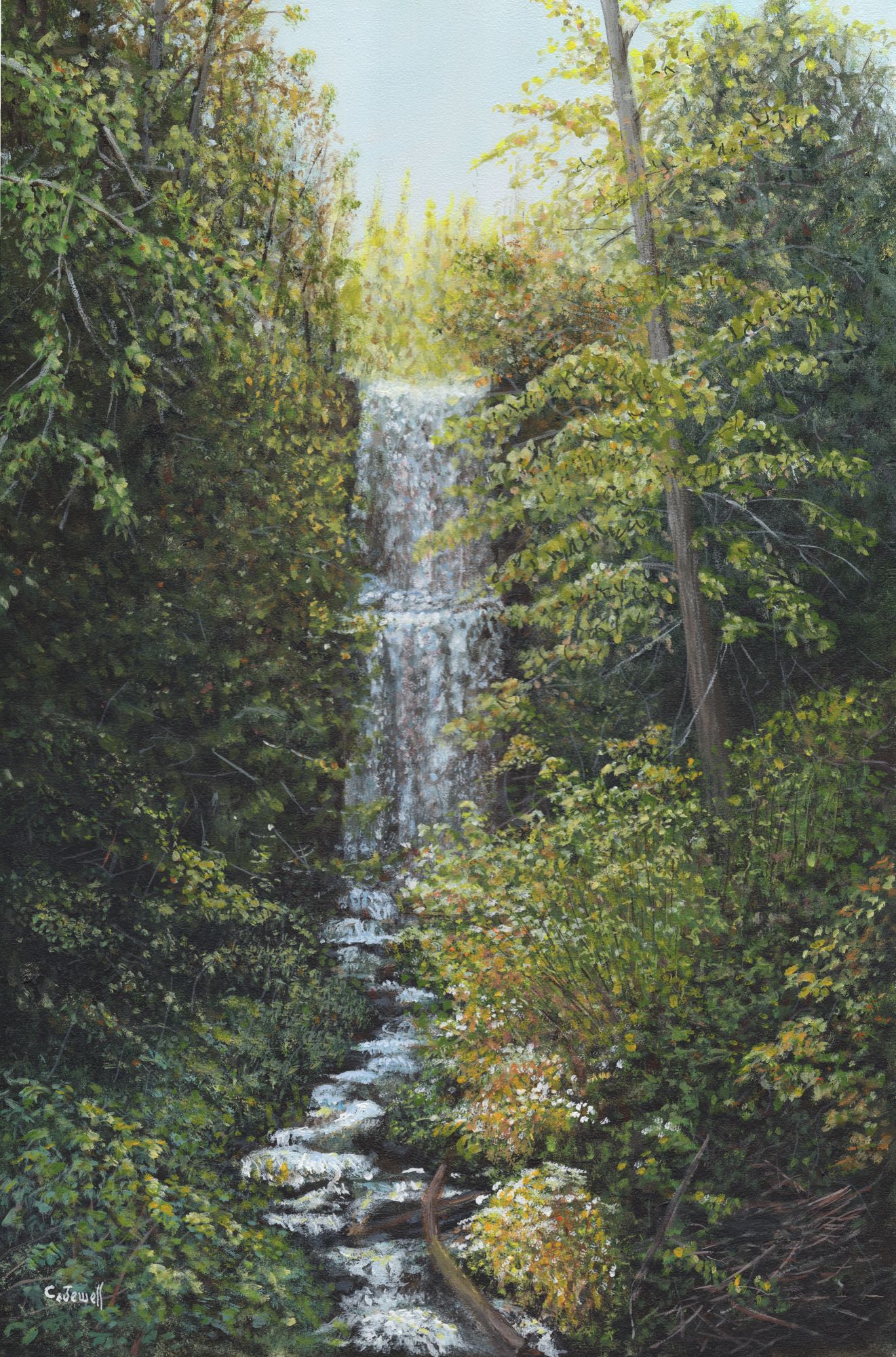 HI FALLS 18 x 12 acrylic by Cliff Jewell