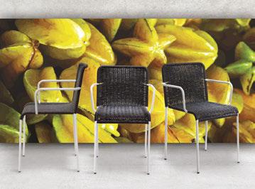 SEDIA FIORELLA art.903