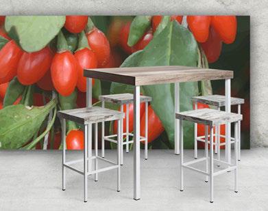 tavolo  erv. 19082 mis. 120x80x110