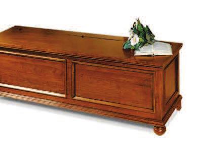 CASSAPANCA D6