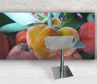 tavolo  erv. 12 mis. 70x70x73