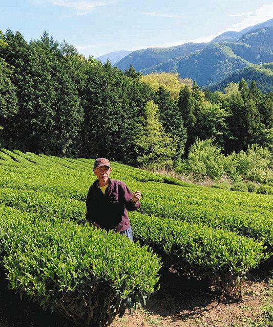 山北のお茶、ドイツ・ミュンヘンに販路　栽培歴５０年・井上正文さんらプロジェクト