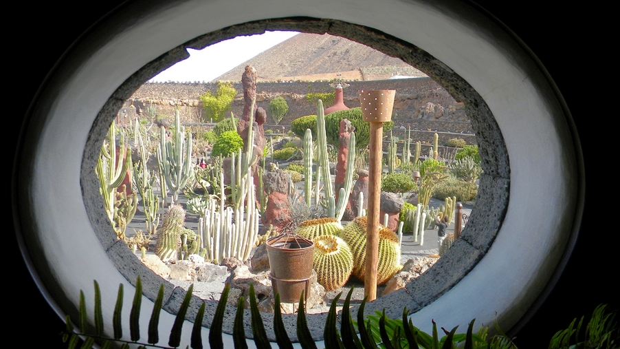 Jardin de Cactus