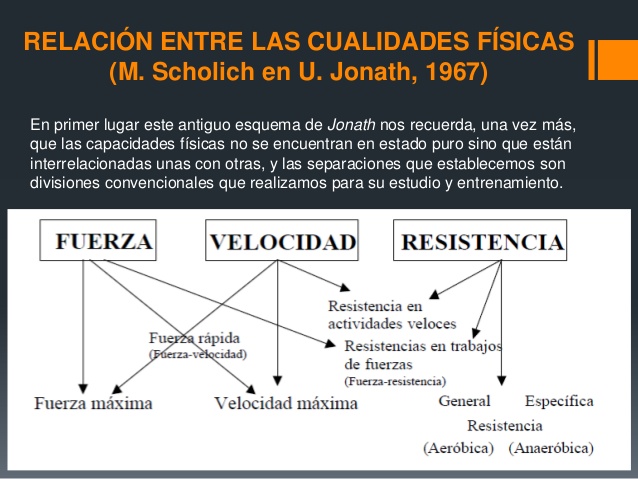 fuerza resistencia y velocidad definicion