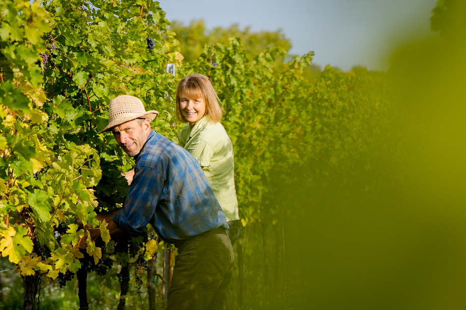 natural wine terroir wine authentic wine natural wines vegan wines vegan wine organic wine biodynamic wines villany hungary hungarian wines redwine redwines white wine white wines wineshop organic wineestate wine estate wein-plus