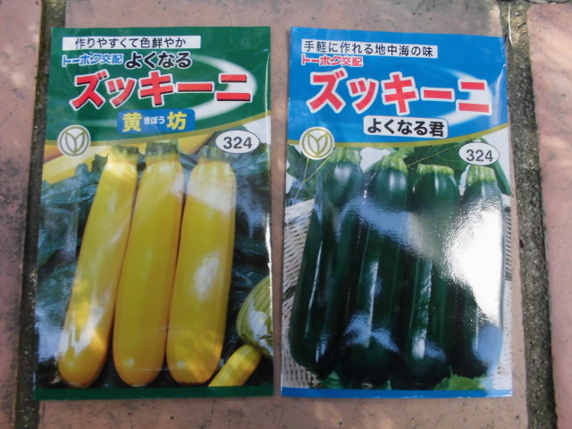 ズッキーニの栽培 19年 Daikichi Home Garden ページ ズッキーニの栽培 19年 Daikichi Home Garden ページ