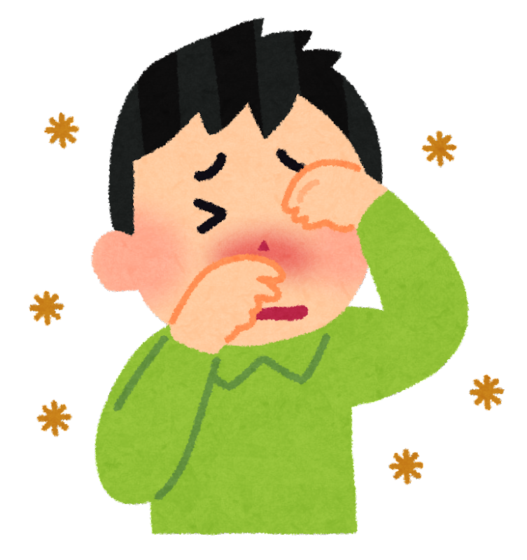 Why Did Japan Plant So Many Cedar Trees?