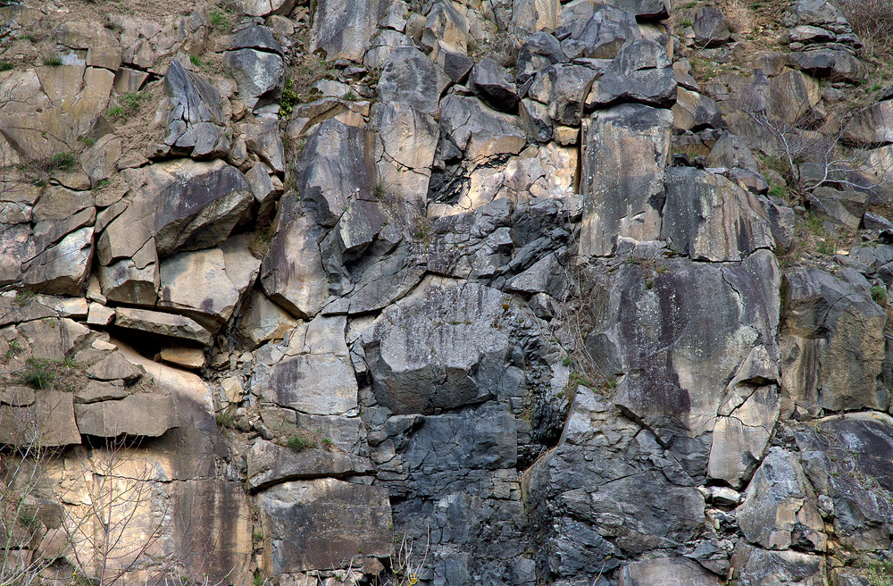 Schieferwand - Eifel - März 2019