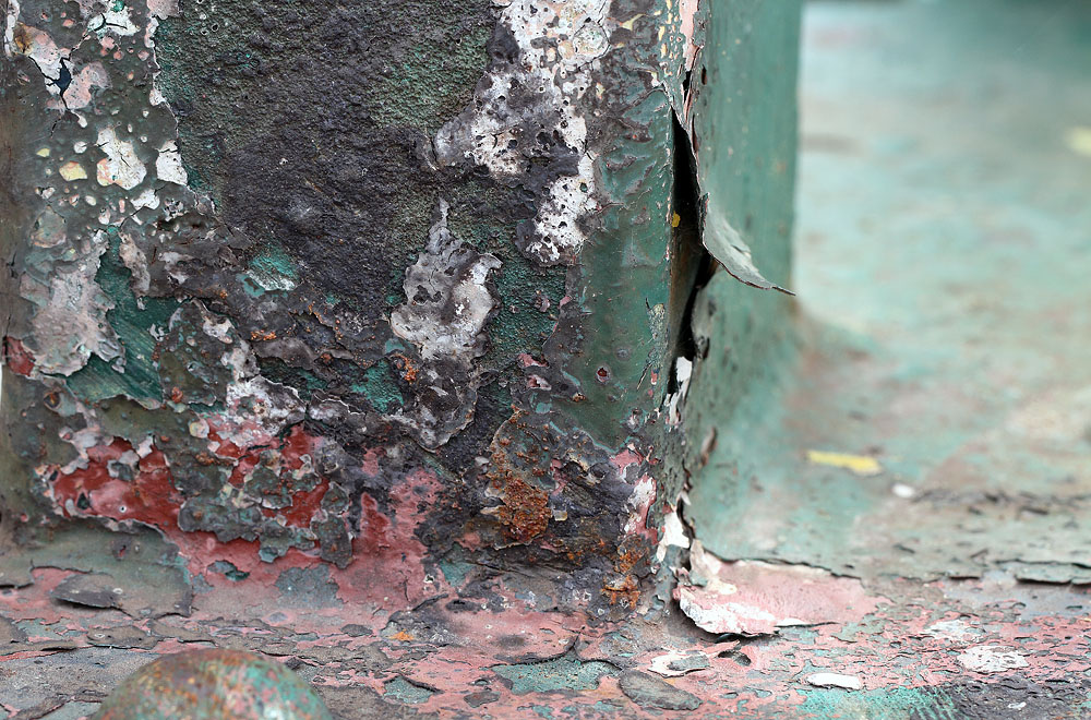 Rost - 2018