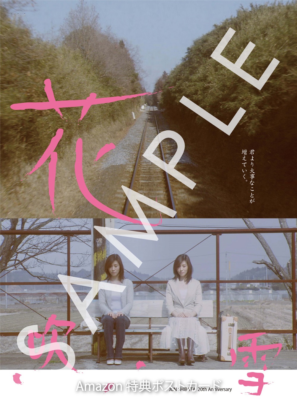 Amazon.co.jp: 柴田南雄とその時代 第二期(DVD付): ミュージック