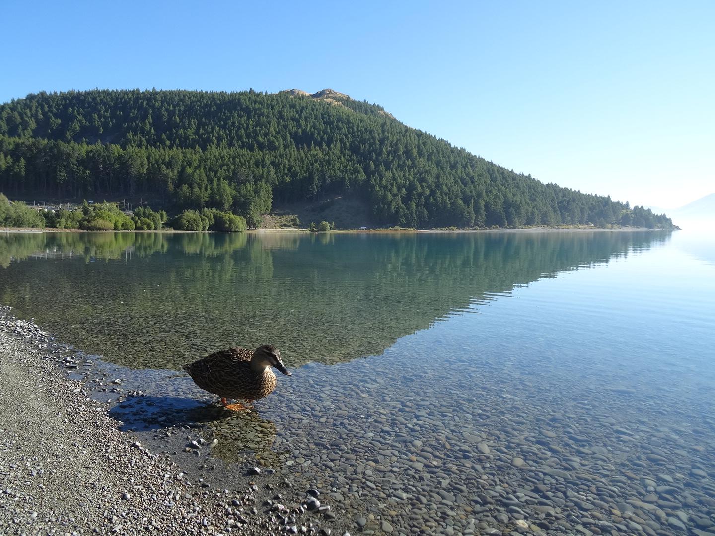 1.3. Ente gut...
