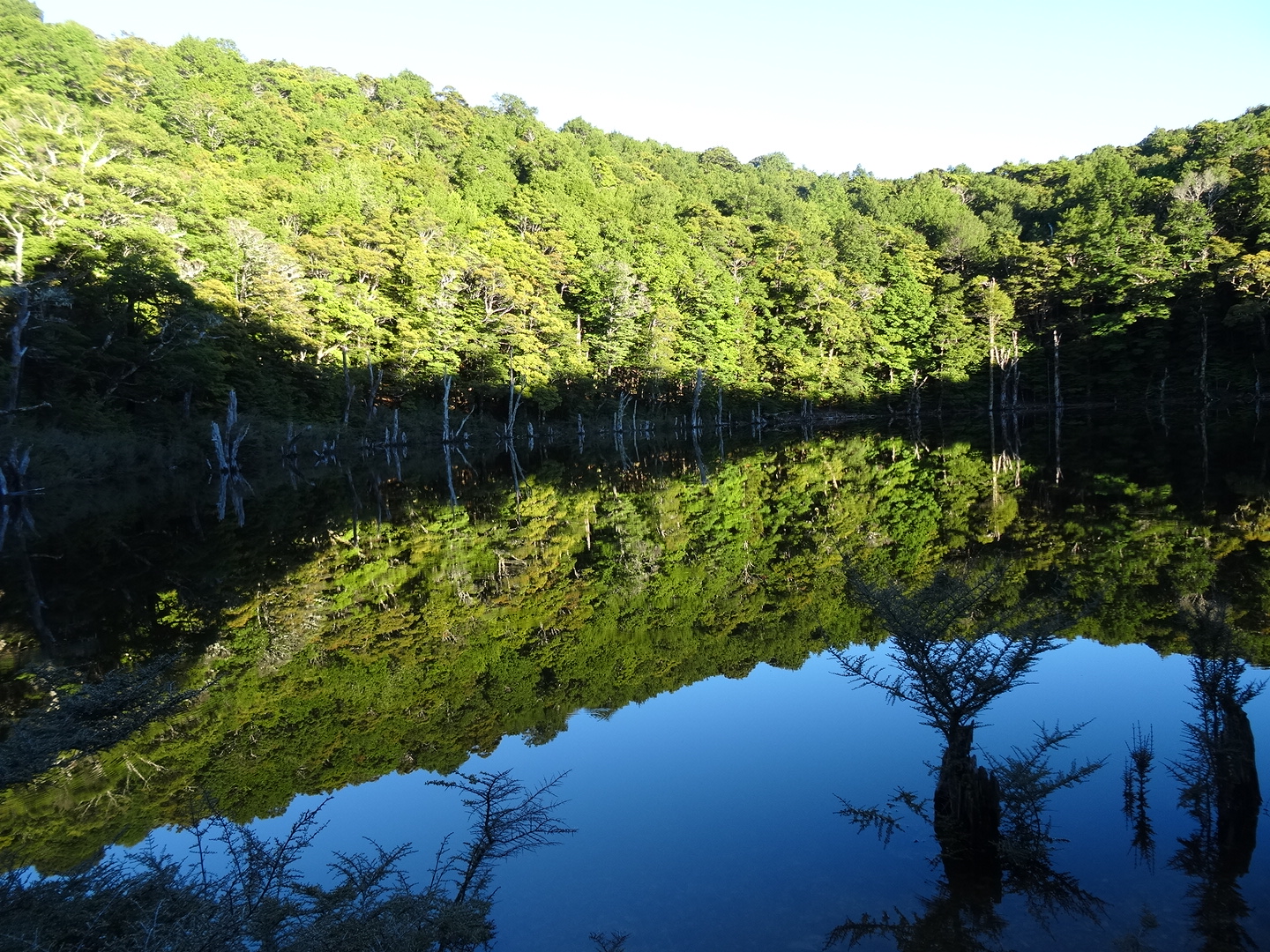 24.1. Der Tarn Hut See am Morgen
