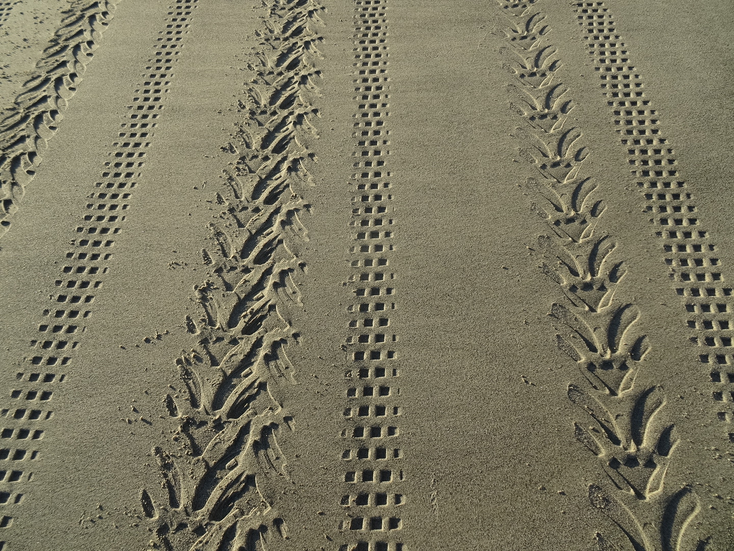 27.3. Spuren im Sand