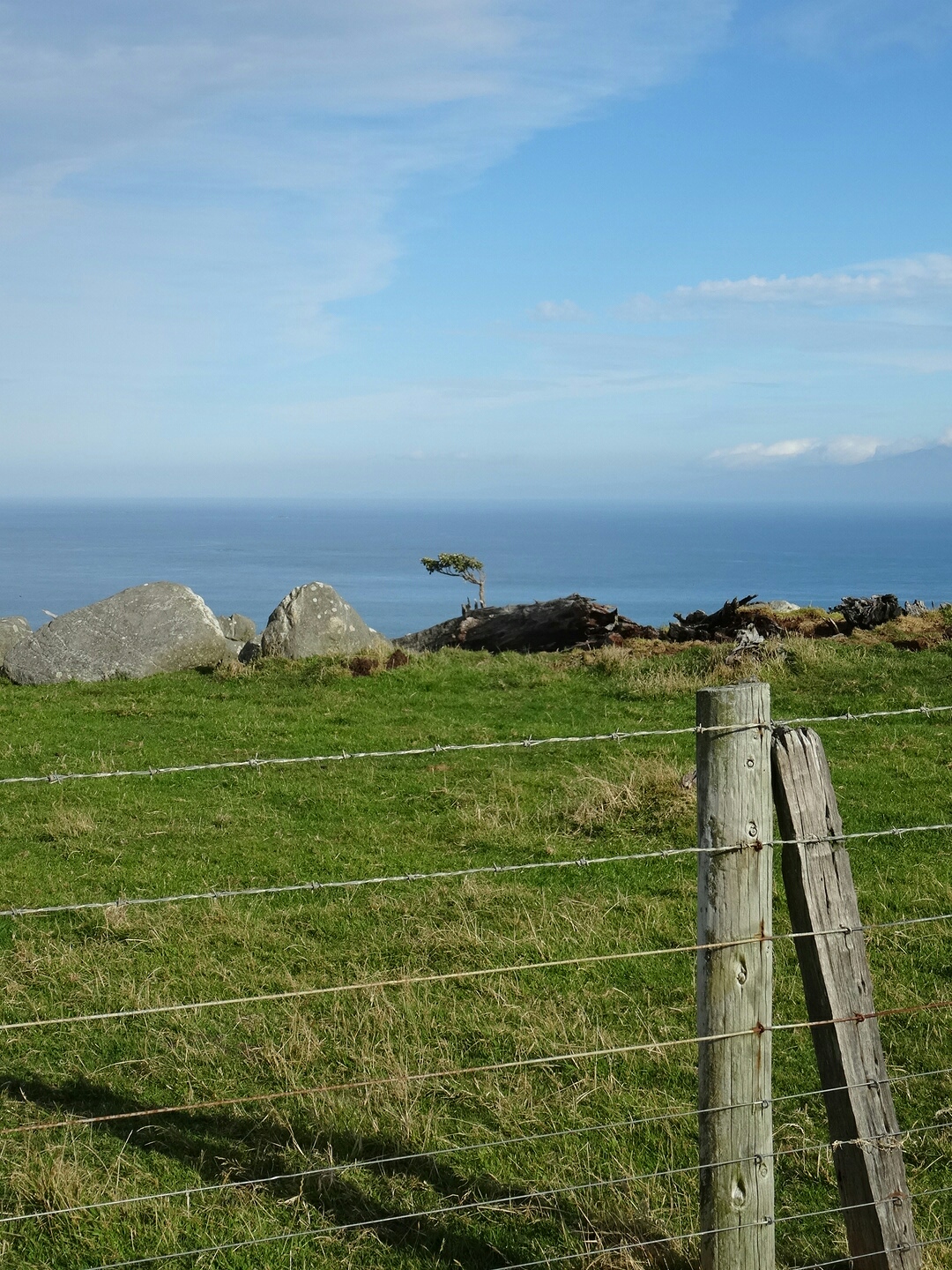 28.3. Blick nach Süden