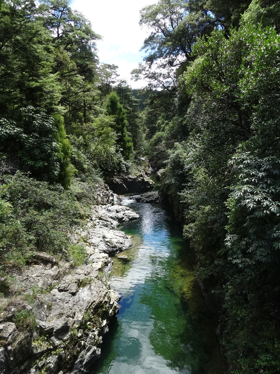 13.1. Pelorus River