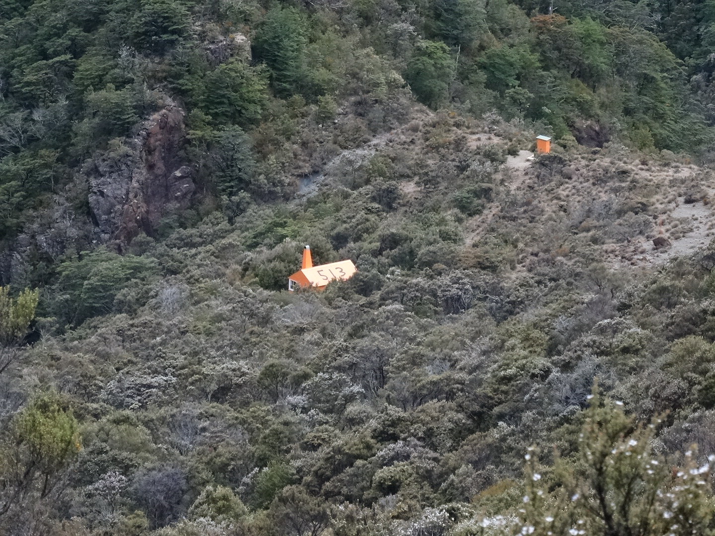 25.1. Abmarsch bei der Top Waiaura Hut