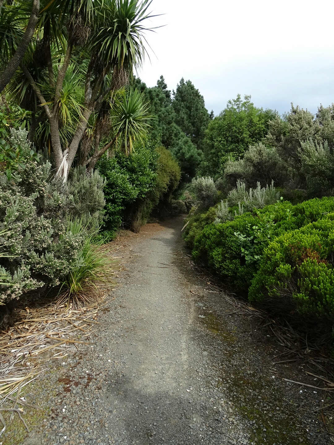 31.3. Das Trottoir
