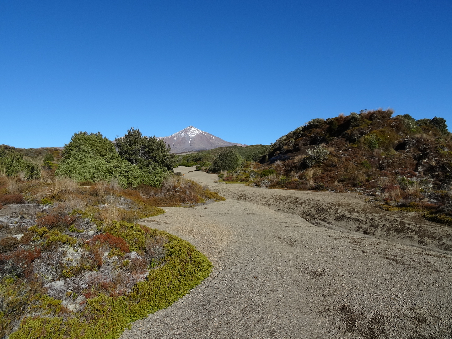 25.4. Mehr Vegetation