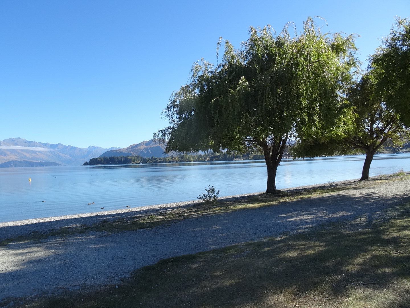 7.3. Ankunft am Lake Wanaka