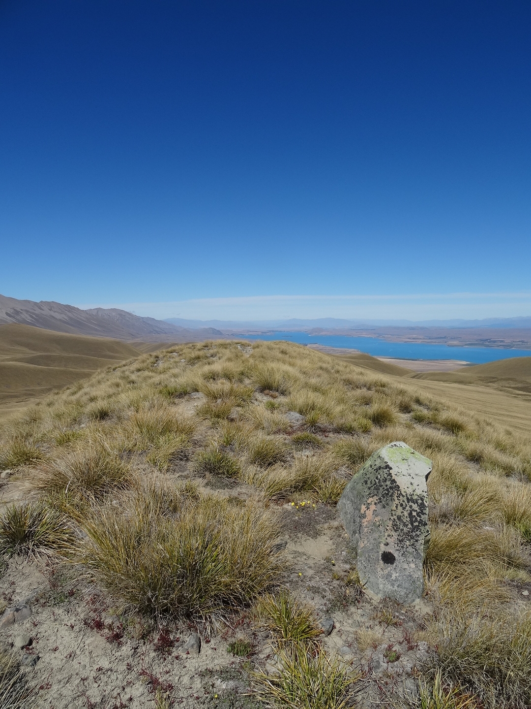 27.2. Tussocks