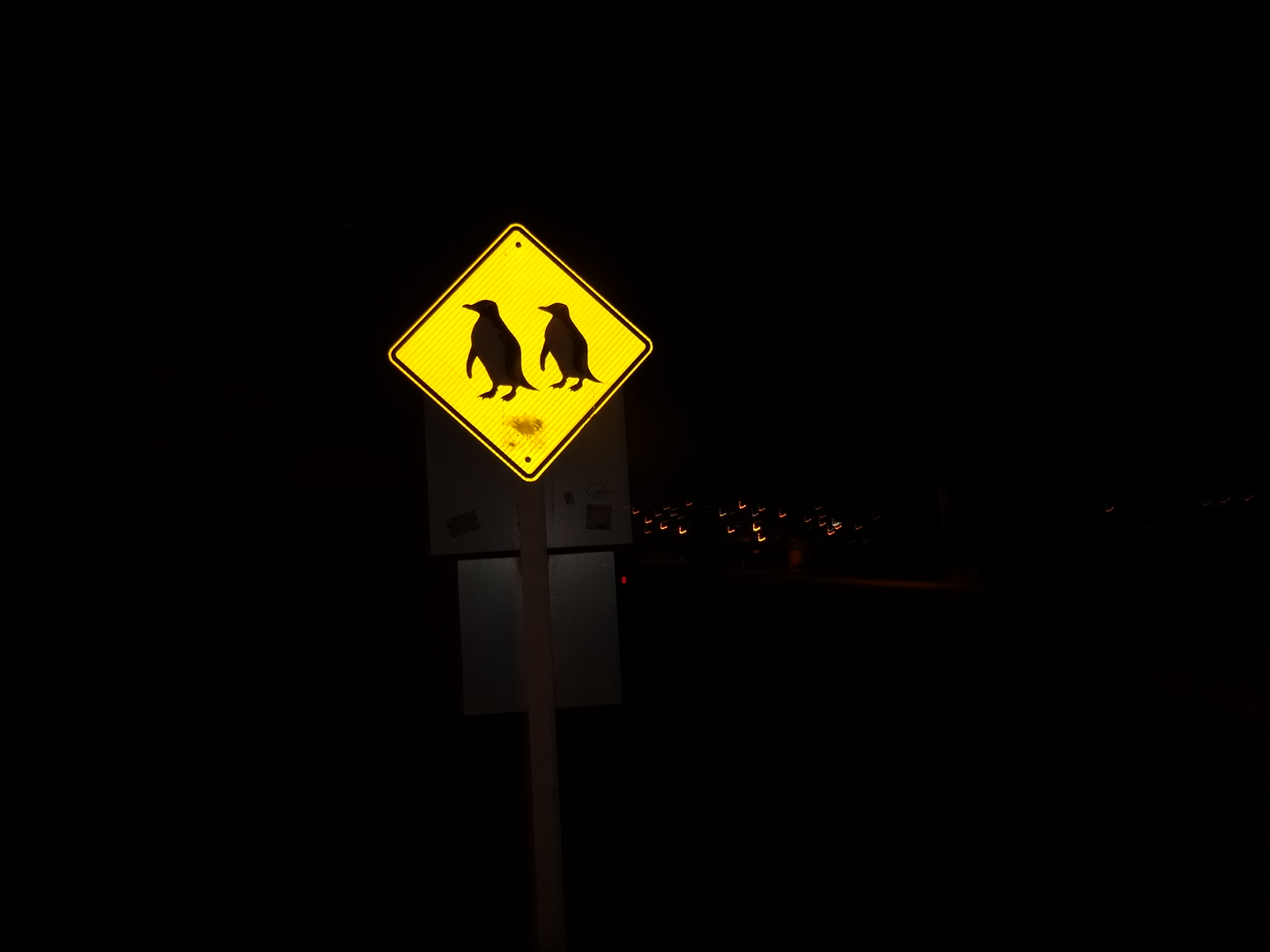 6.4. Achtung Pinguine