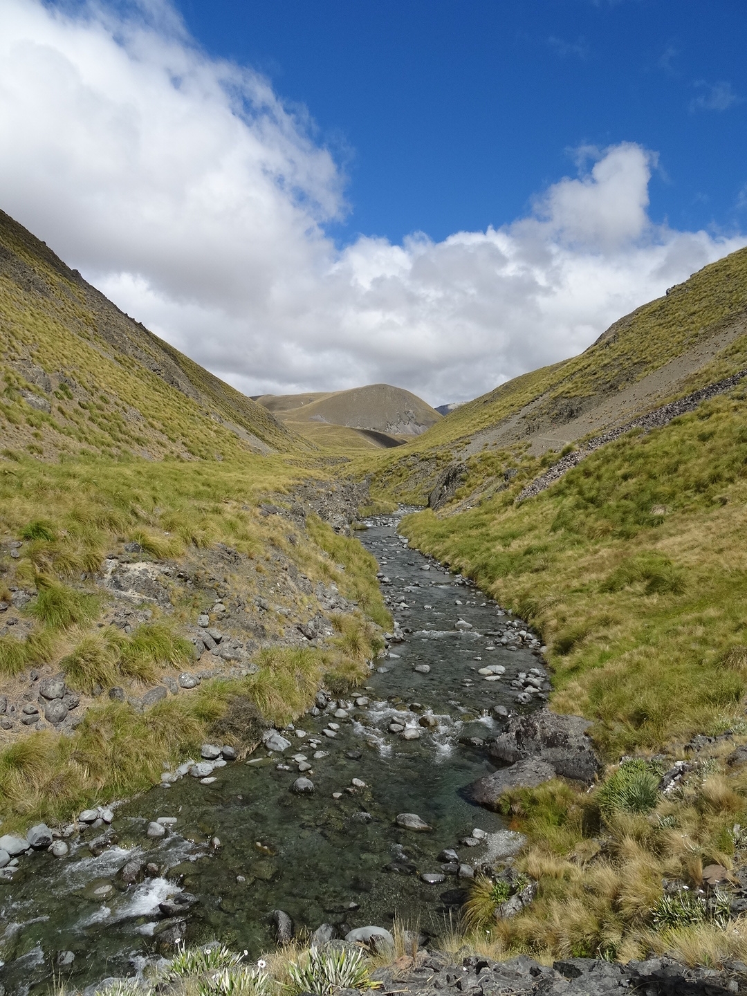 26.6. Bush Stream