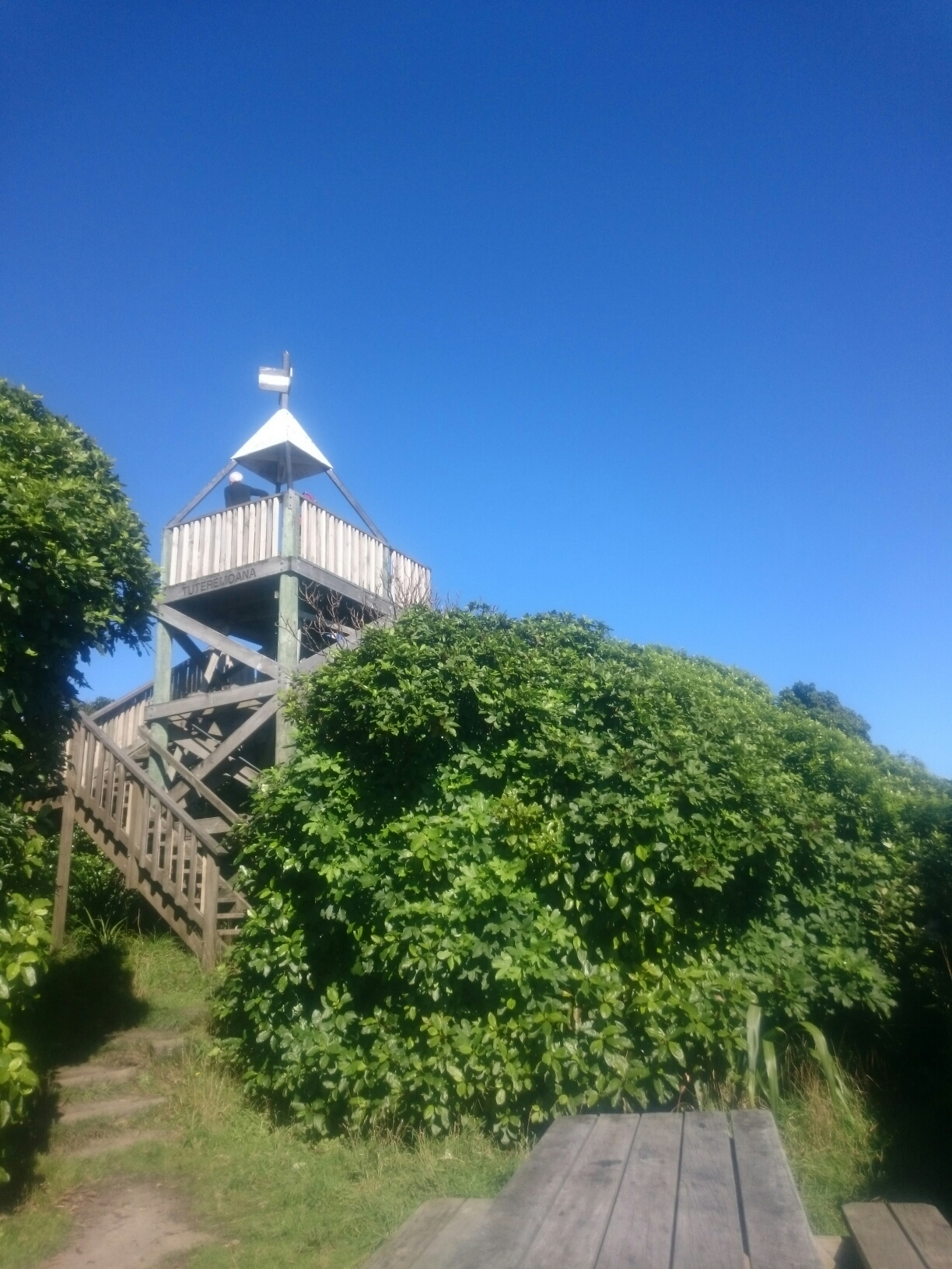 18.4. Lookout