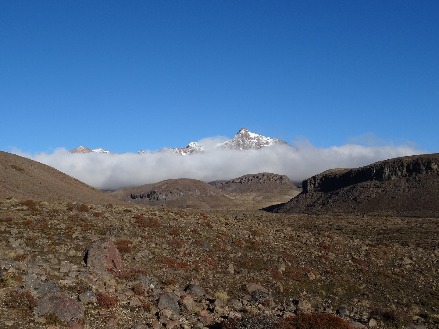 25.4. Ruapehu im Nebel