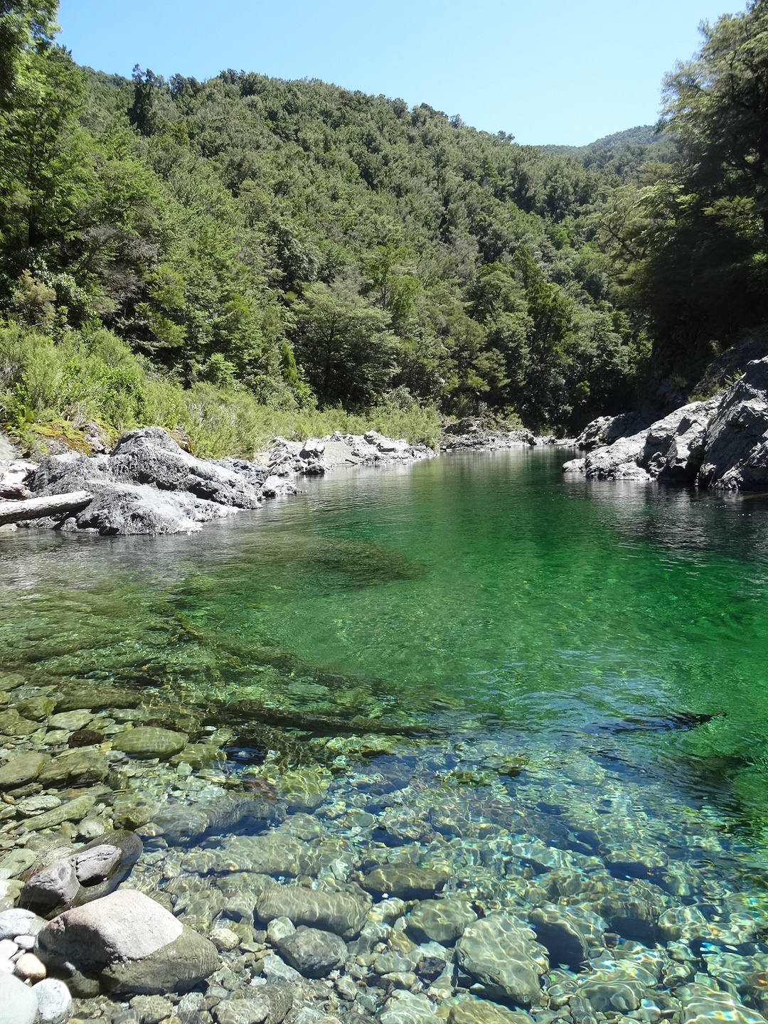 13.1. Emerald Pool am Pelorus