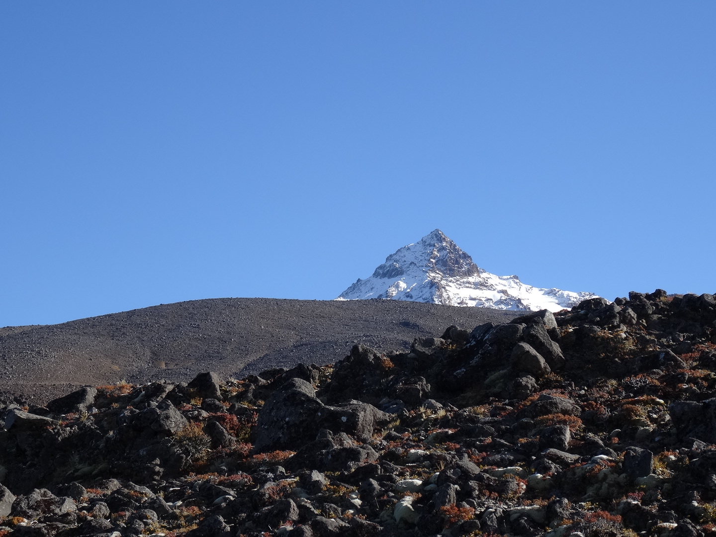 24.4. Mt. Ruapehu im Blick