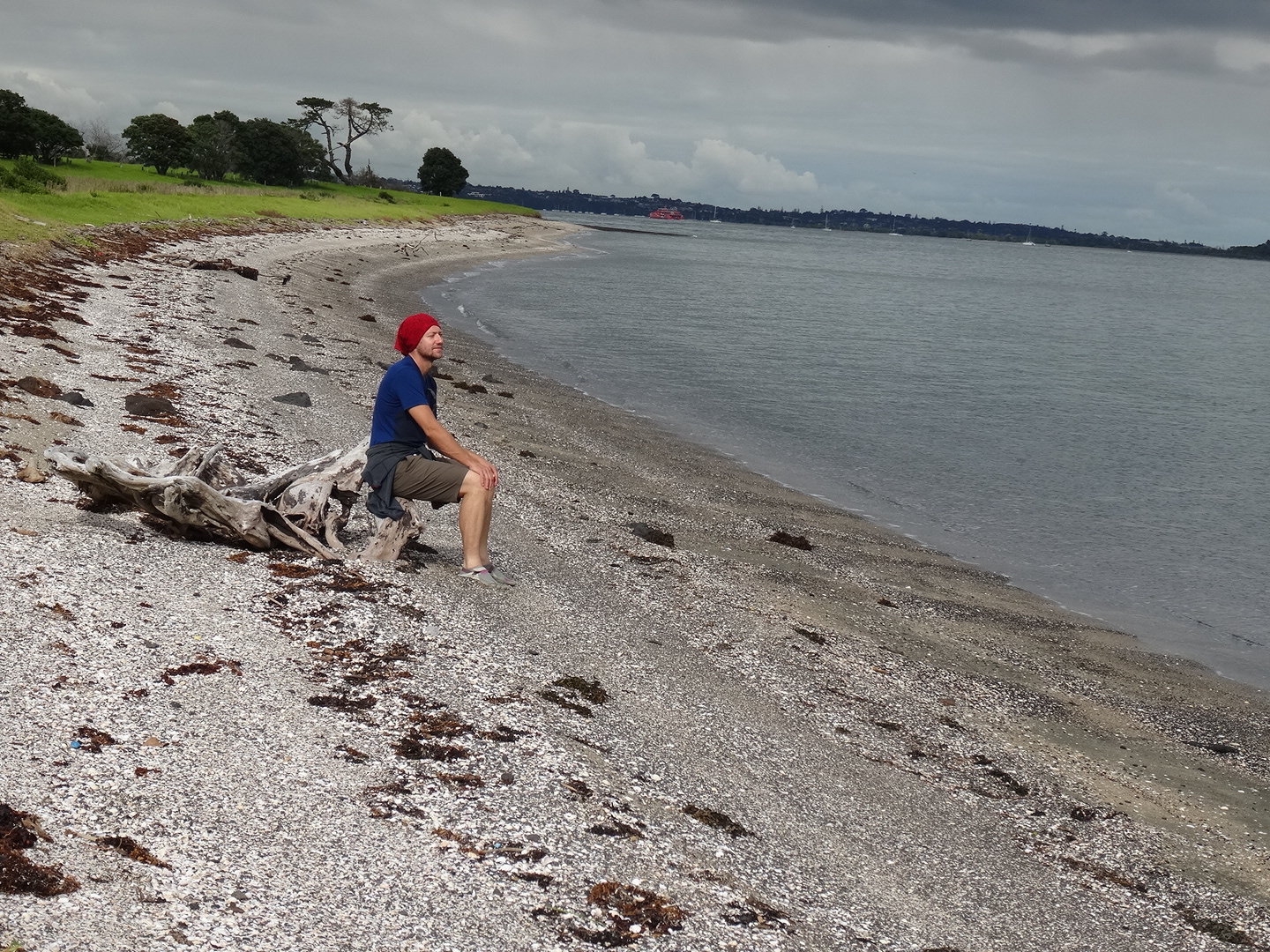 15.5. Strandgut