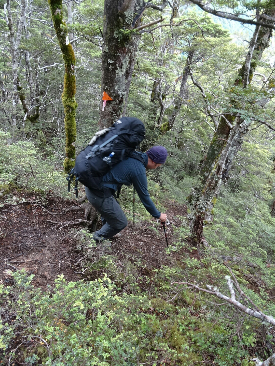 2.1. Auf dem steilen Waldweg