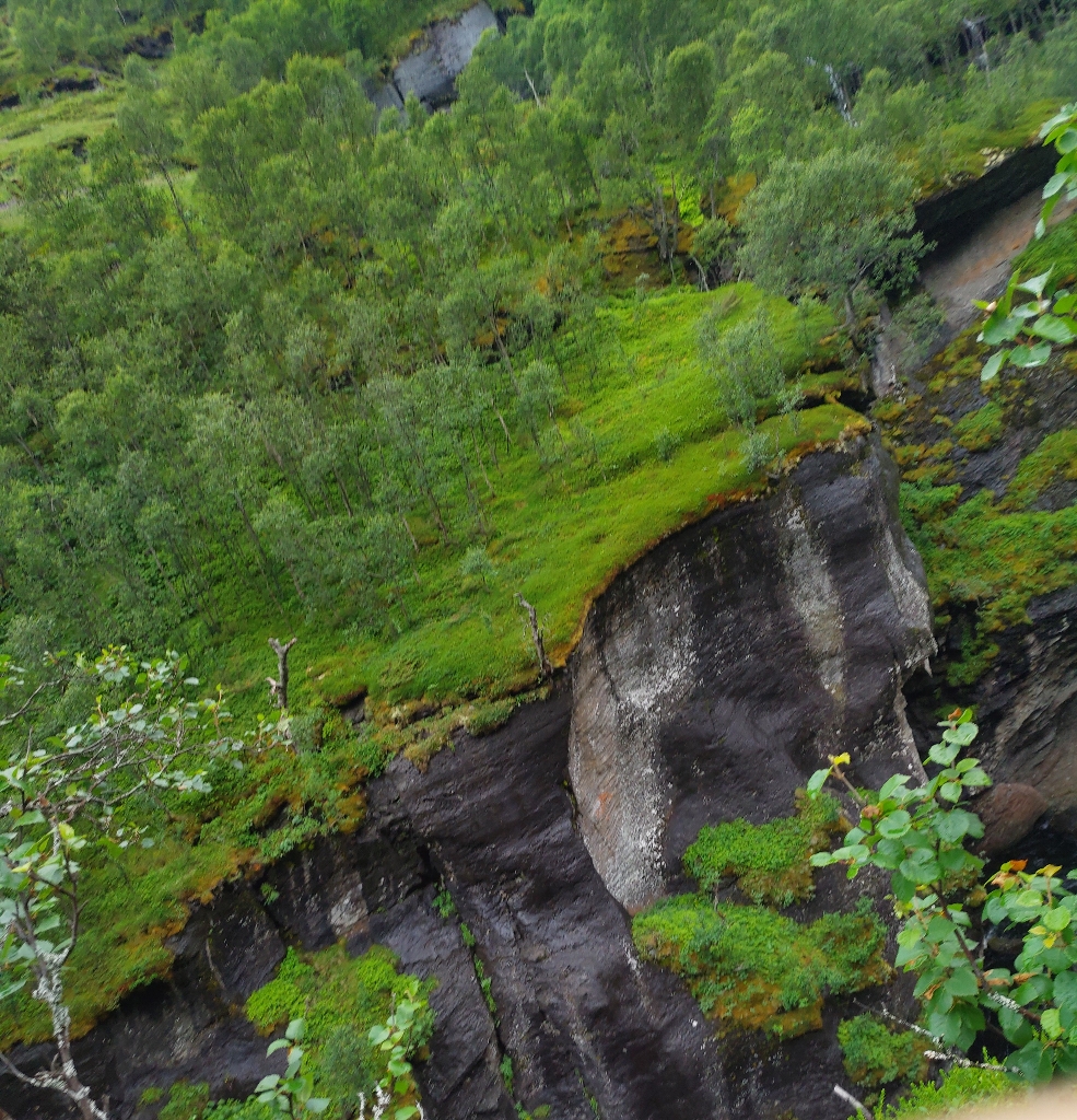 Ursprüngliche Natur
