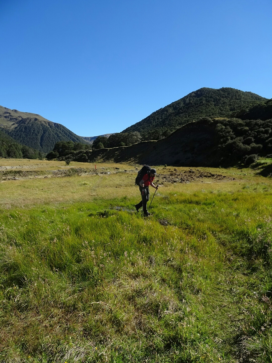 5.2. Vom Sumpfwandern