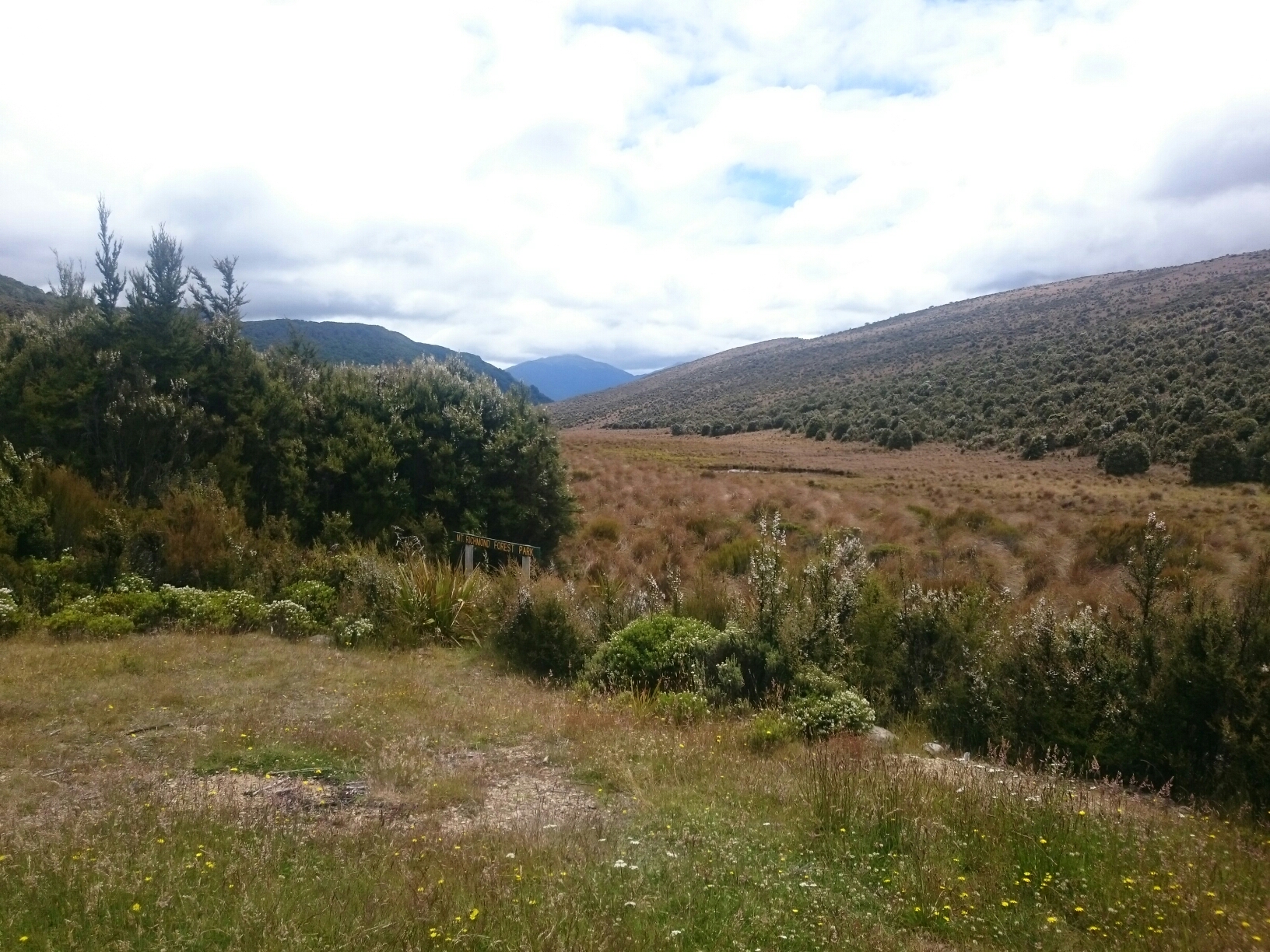 26.1. Ausblick am Mittag bei der Red Hill Hut