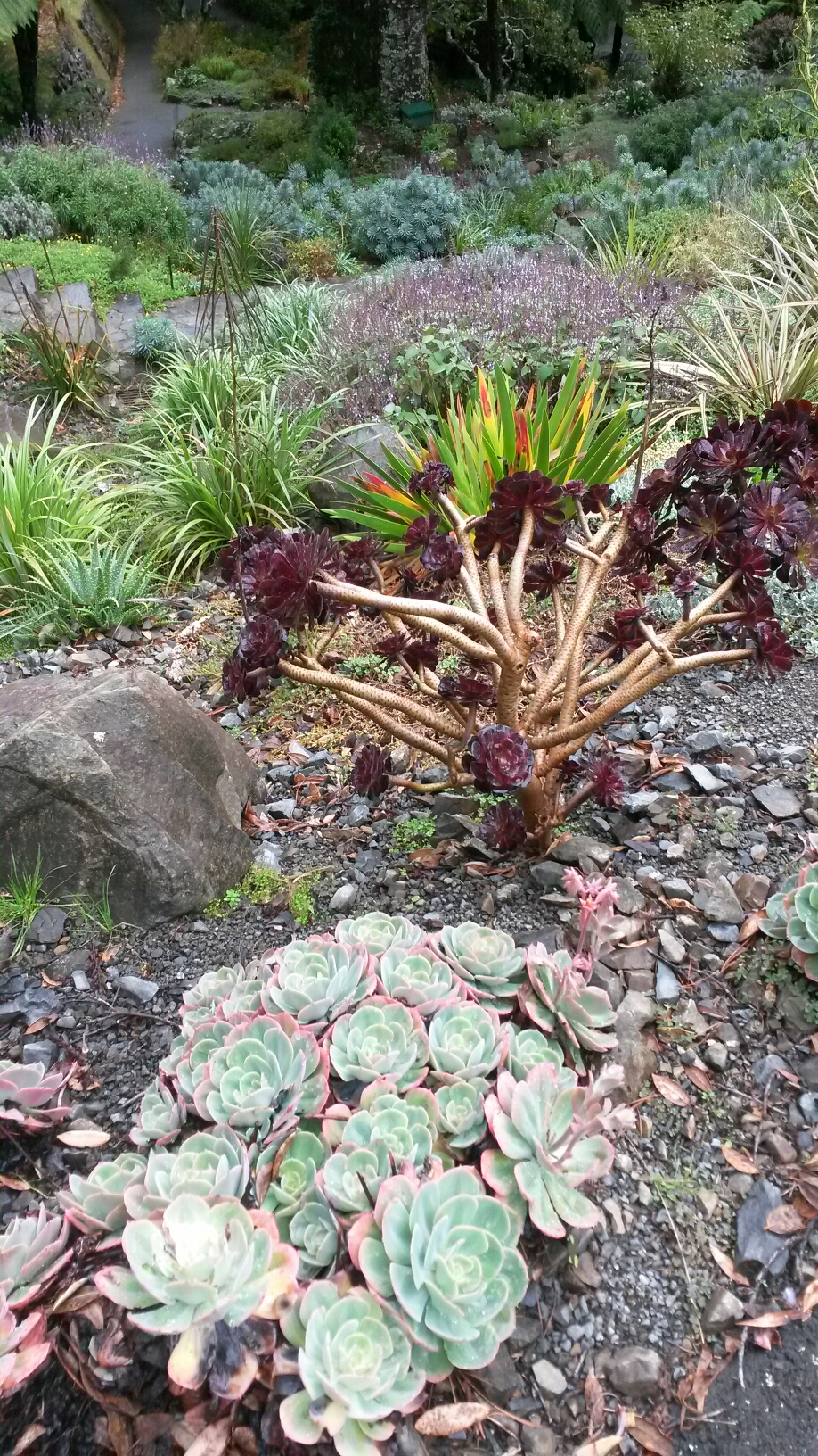 17.4. Botanischer Garten