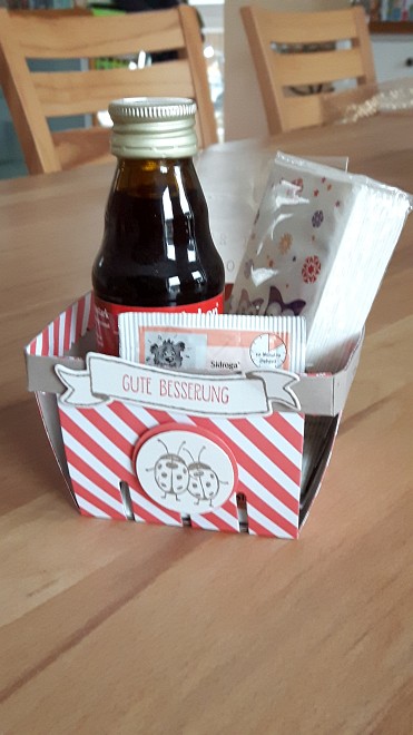 Zu Verkaufen: Gute-Besserungs-Kit für Kinder - Inhalt: Kinder-Em-Eukal, Rotbäckchen-Saft, ein Beutel Kinder-Husten-Tee, 1 Packung Eulen oder Pinguin-Taschentücher