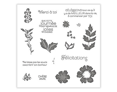 149665    PRODUKT-MEDLEY TOUT EST PLUS ROSE