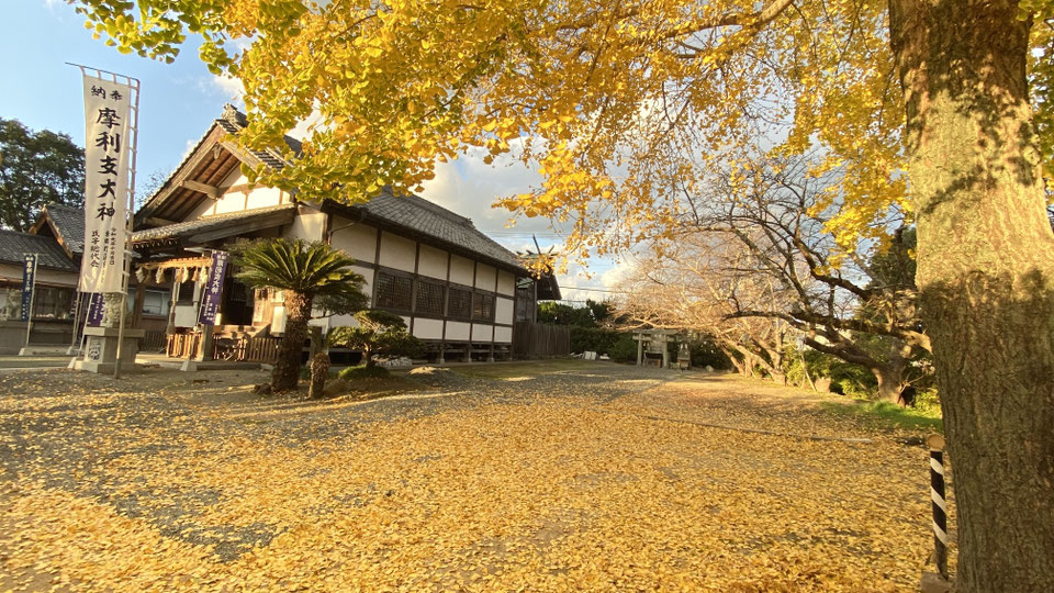 令和の紅葉見頃となりました。御参拝くださいませ。